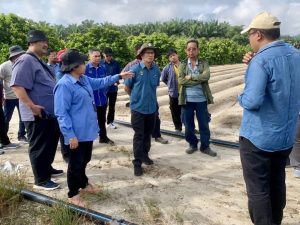 Dato’ Nor Sam Alwi melihat kawasan penanaman bawang
