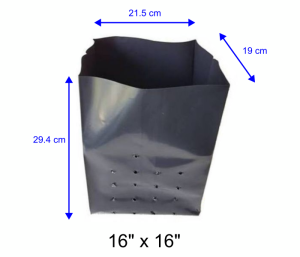 size polibeg 16x16
